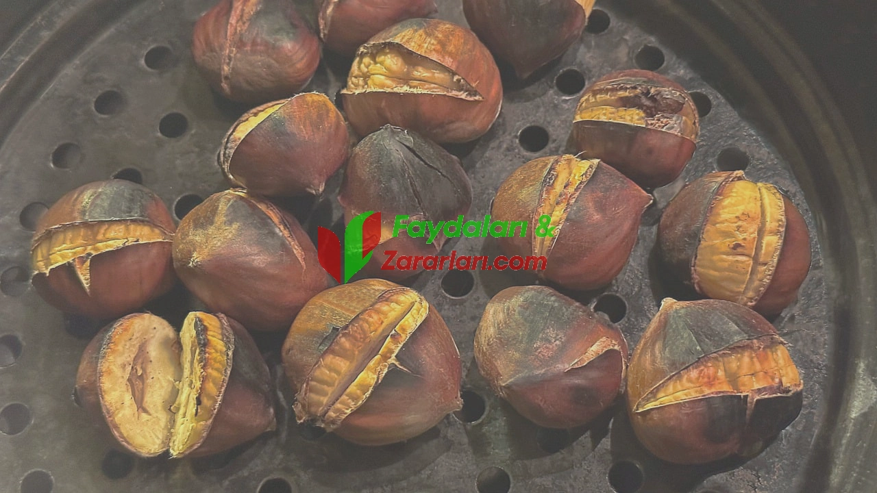 kestane faydaları zararları