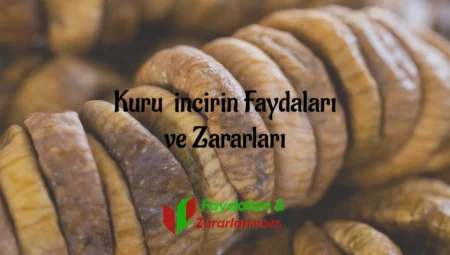 Kuru İncirin Faydaları ve Zararları