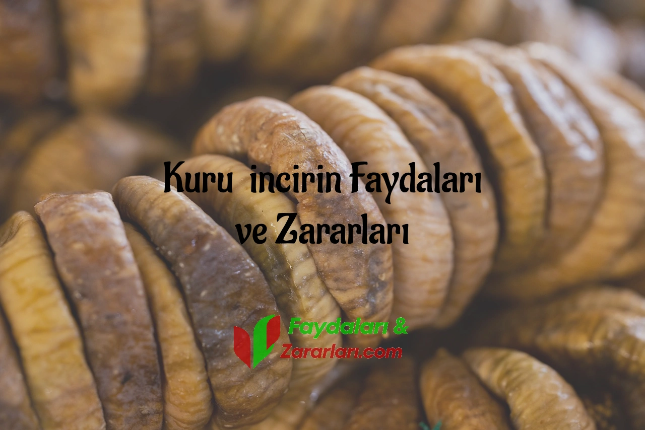 kuru incirin faydaları ve zararları