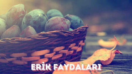 Erik Faydaları