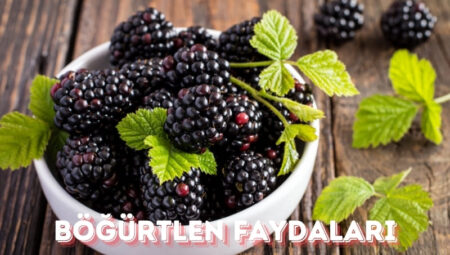 Böğürtlen Faydaları