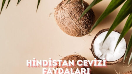 Hindistan Cevizinin Faydaları