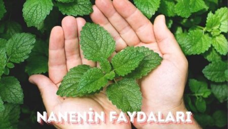 Nanenin Faydaları