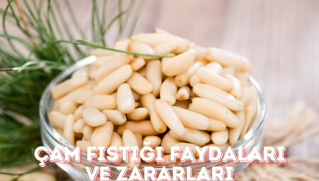 Çam Fıstığı Faydaları ve Zararları